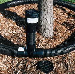 Rotodrain RootRain Urban Irrigation System